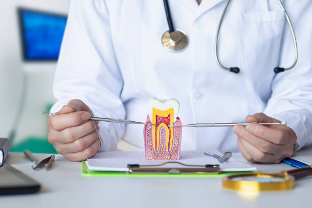 Best Emergency Dentist for Knocked-Out Tooth in Carlton, OR